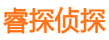 苍梧寻人公司